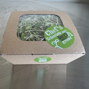 Chefs selection - medium
