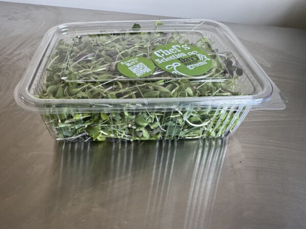 Chefs selection – large - Image 4